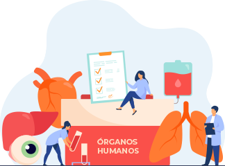 Trasplante de Órganos